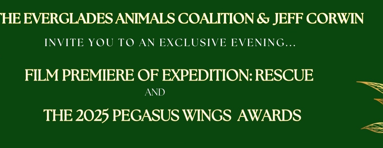 Expedition: Rescue & Pegasus Wings Awards